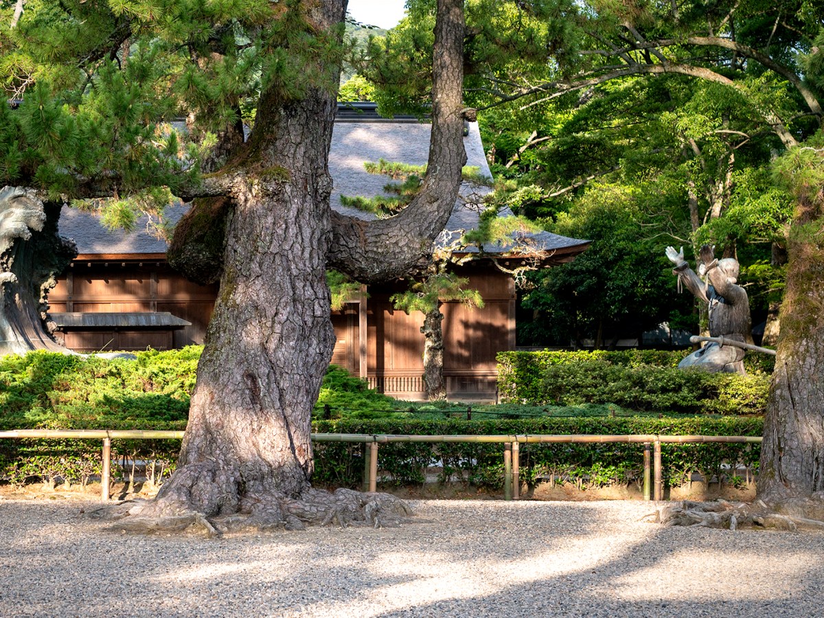 Le sanctuaire Izumo Taisha et le lièvre blanc d’Inaba │&nbsp;出雲大社と因幡の白兎